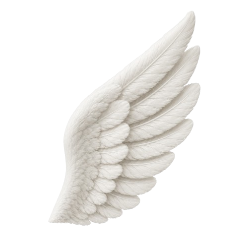 Hermes wing